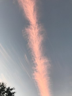 feather cloud