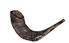 shofar