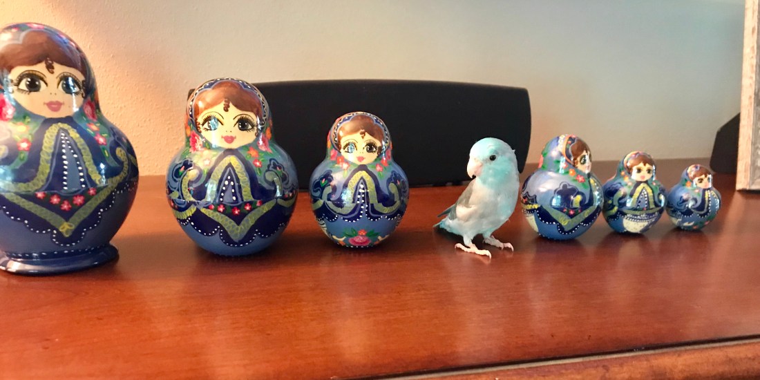 Nesting dolls