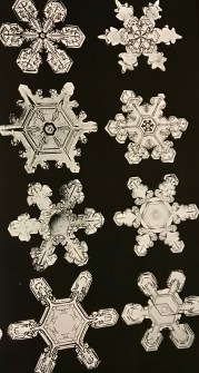 snowflake 3