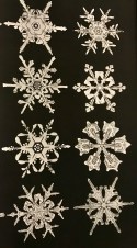 snowflake 4